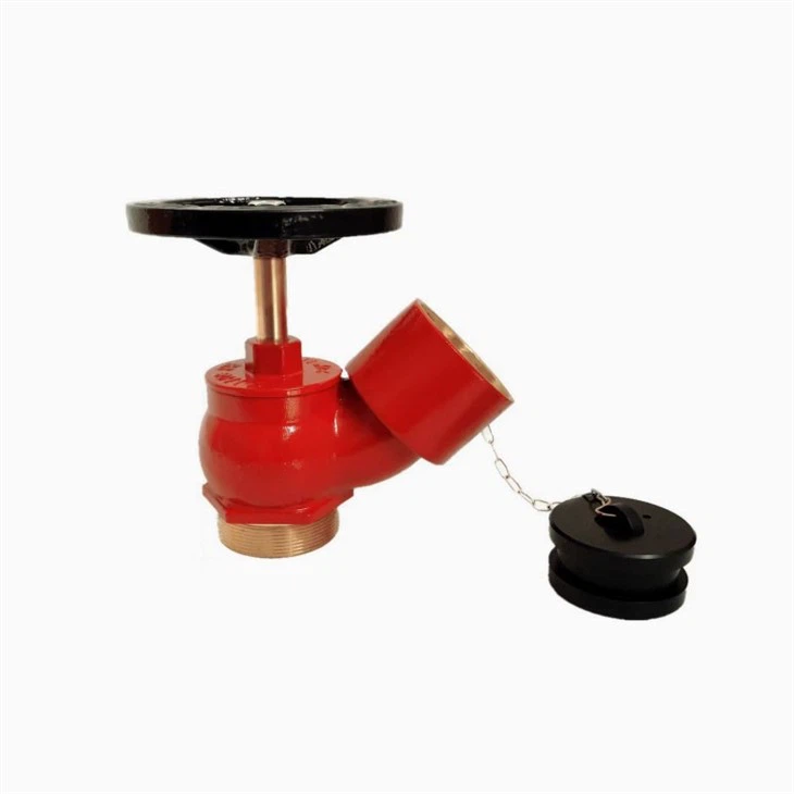 Çin Tipi İç Mekan Yangın Hidrantı - Görsel 3