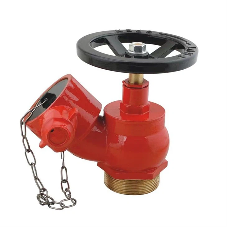 Çin Tipi İç Mekan Yangın Hidrantı